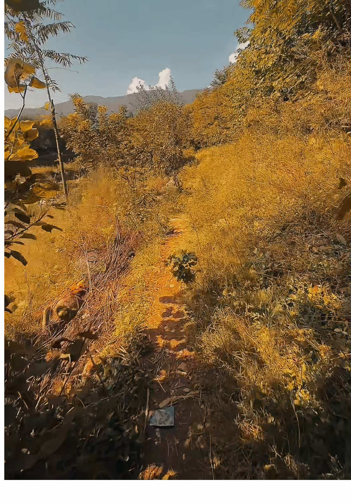 🥺❤️‍🩹……#fyp #viral_video #lines💔 #1millionaudition #poshto_poetry 