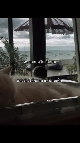 …#เธรด #เธรดเศร้า #fyp #ฟีด #แมวน่ารัก 