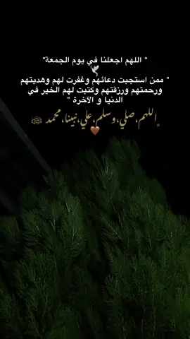 🤎🕊️...