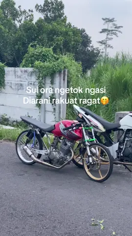 Ajakk lagi dongg🤪#fyp #xybca #kediri24jam #herexkediri #akopraceaway 