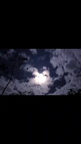 Я готов терпеть, я готов бежать... #fypシ゚ #fyp #viral #viralvideo  #fypvideos 