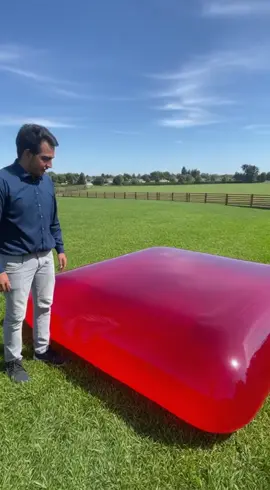 Satisfying Jelly Bed is Insane  #satisfying #jellybed #tiktokexperiment #fyp #oddlysatisfying 