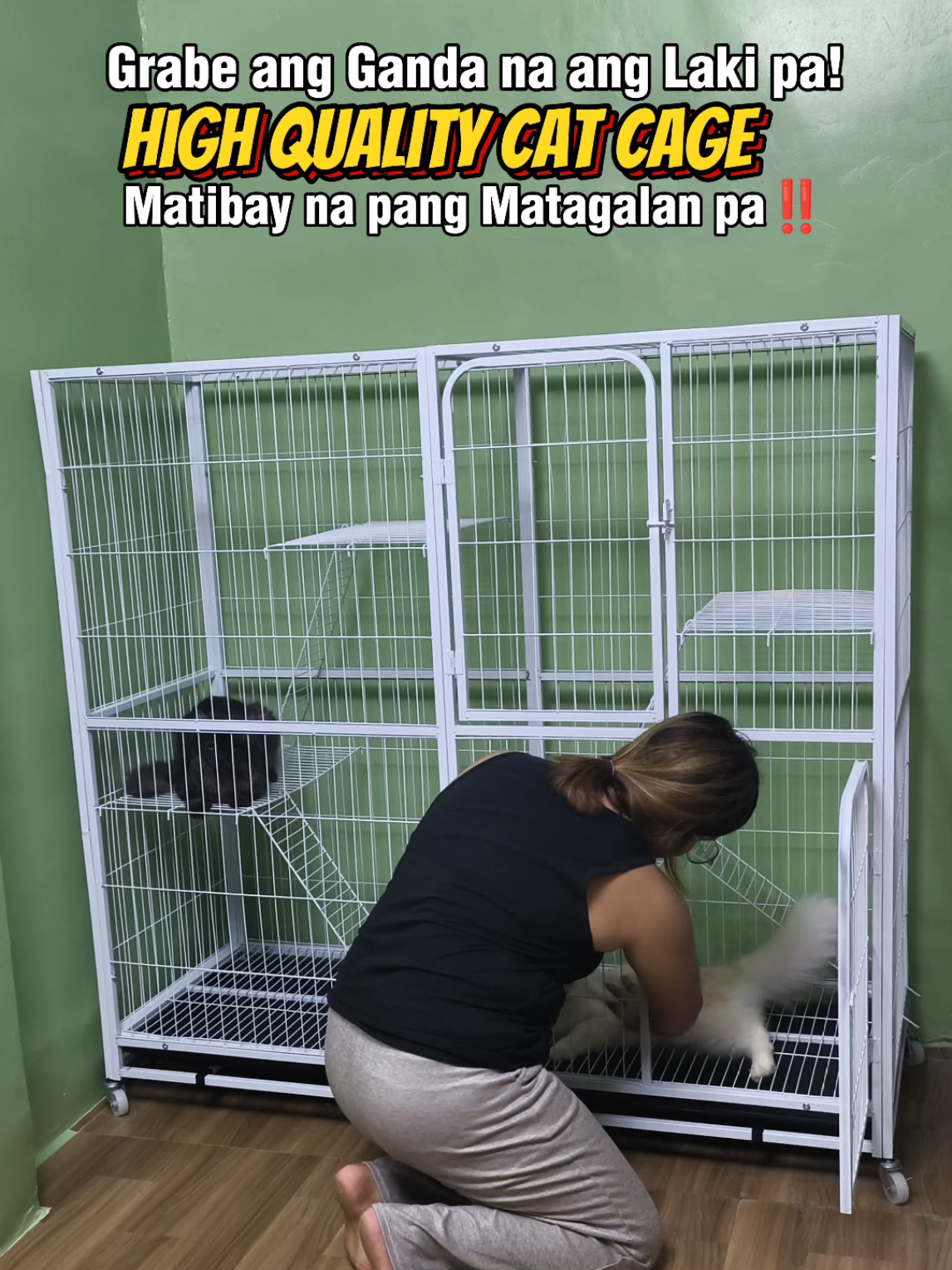 High Quality Cat Cage with Wheel Matibay na pang Matagalan mopa magagamit na kulongan ng alaga mong Pusa! #catcage #cage #catlover #petcage  #largecatcage 