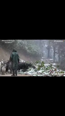 Mihemed Arîf CİZÎRÎ ZOZANÎYÊ #mihemedarifciziri #dengbéjî #dengbeji #dengbéj #dengbej 