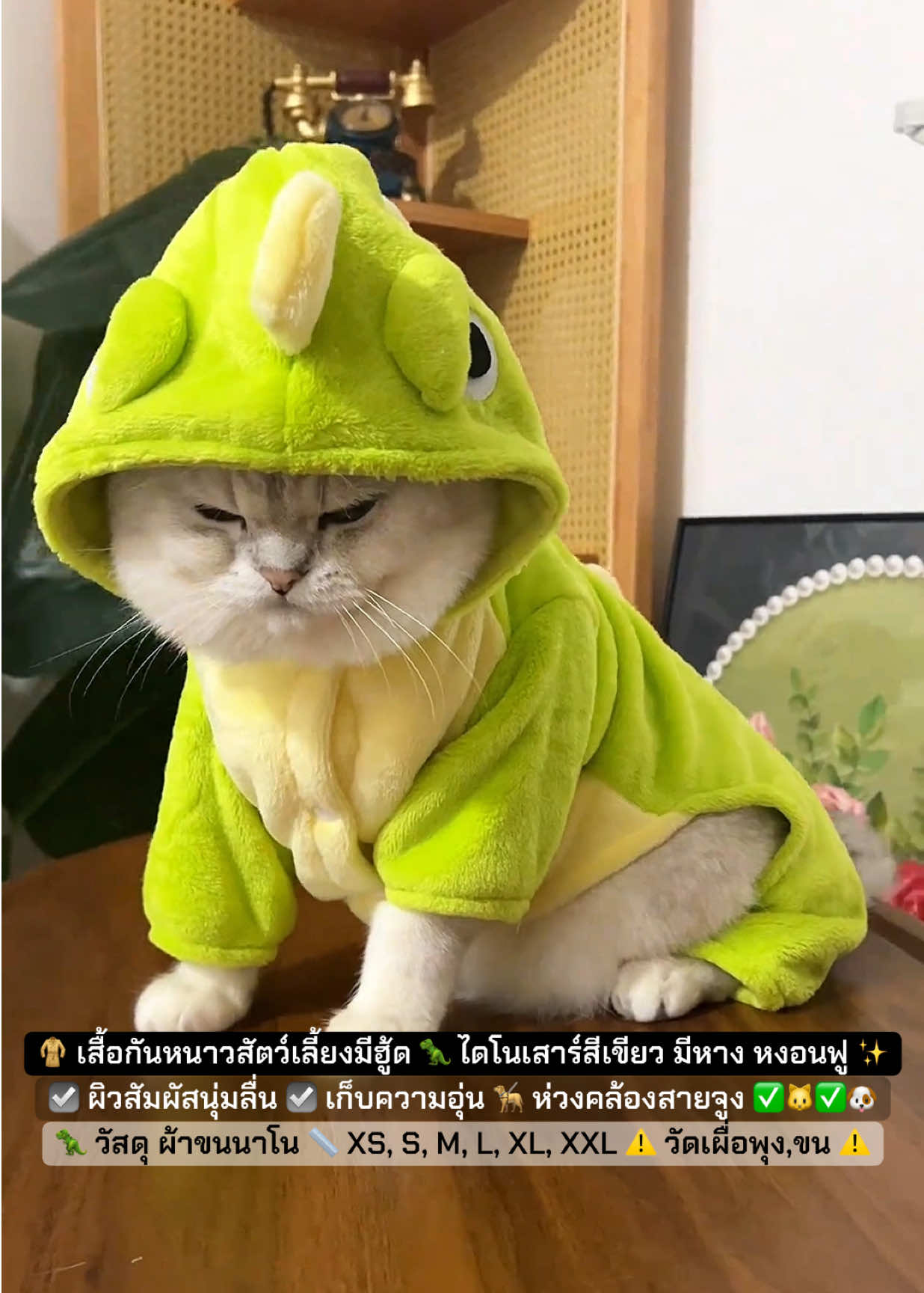 🦖 เสื้อไดโนเสาร์กันหนาวสุดคิ้วท์สำหรับหมาแมว (มีห่วงสายจูงในตัว) ✨ 🦖 เสื้อกันหนาวสัตว์เลี้ยงมีฮู้ด 🦖 ดีไซน์ ไดโนเสาร์ลายเขียว มีหางและหงอนฟู 🦖 ผิวสัมผัสนุ่มลื่นมาก เหมือนตุ๊กตาพรีเมียม 🦖 ด้านในบุผ้าขนนุ่มเต็มตัว เหมาะกับอากาศเย็นหรือห้องแอร์ 🦖 มีความยืดหยุ่นเล็กน้อย ทำให้ใส่แล้วไม่อึดอัด 🦖 ไม่ระคายเคืองผิวสัตว์เลี้ยง 🦖 เก็บความร้อนได้ดีเยี่ยมแต่ไม่อับ 🦮 มีห่วงคล้องสายจูง 🦖 ซักง่าย แห้งเร็ว 🦖 เหมาะกับ หมา/แมวพันธุ์เล็ก–กลาง 🦖 วัสดุ ผ้าขนนาโน (ไมโครฟลีซโพลีเอสเตอร์) 📏 Size XS : รอบอก 30 cm, ลำตัว 20 cm, เหมาะกับน้ำหนัก 0.5-1 กิโลกรัม 📏 Size S : รอบอก 35 cm, ลำตัว 25 cm, เหมาะกับน้ำหนัก 1.5-2 กิโลกรัม 📏 Size M : รอบอก 40 cm, ลำตัว 30 cm, เหมาะกับน้ำหนัก 2.5-4 กิโลกรัม 📏 Size L : รอบอก 45 cm, ลำตัว 35 cm, เหมาะกับน้ำหนัก 4-6 กิโลกรัม 📏 Size XL : รอบอก 50 cm, ลำตัว 40 cm, เหมาะกับน้ำหนัก 6-7.5 กิโลกรัม 📏 Size XXL : รอบอก 55 cm, ลำตัว 45 cm, เหมาะกับน้ำหนัก 7.5-10 กิโลกรัม #เสื้อกันหนาวสัตว์เลี้ยง #เสื้อกันหนาวแมว #เสื้อผ้าสัตว์เลี้ยง #เสื้อผ้าแมว #เสื้อกันหนาวสุนัข 💕 @สัตว์เลี้ยง แสนรัก 💕  @สัตว์เลี้ยง แสนรัก 💕  @สัตว์เลี้ยง แสนรัก 💕 