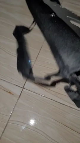 KAA MBALI NA MATAJIR ZANGU @Ostinatoh㋛ @Kizimkazi @ibrahim.zahor altae @VIRGO🎮⚽️ @HASHEEM @Master Pes🎮 @efootballKing66🇹🇿 @SMILE KILLER 🕶️⭐ linusi @SALIQ LE 