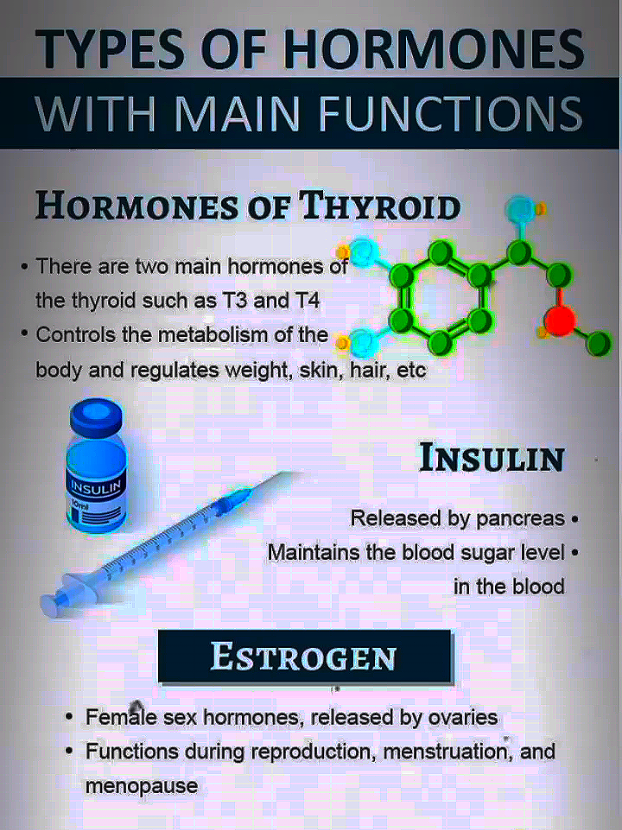 These hormones control everything from mood to metabolism! . . #HormoneFacts #HumanBiology #MedicalStudents #BodyScience #StudyWithMe 
