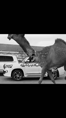 سمو الشعل🤍.  #جفران_المري #نجران #قصيد #fyp #capcut 