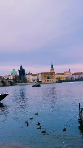 #يا_طاغي_النظره_خطا #راشد_الماجد #سندباد_الخليج_راشد_الماجد #راشديات💙 #اكسبلور 