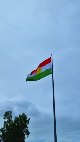 #كوردستان #paygeforyou #CapCut #zaxo_duhok_hewler_slemani_hawler 