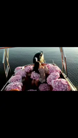 #iconicfemme #fyp #foryou #explore #flowers 