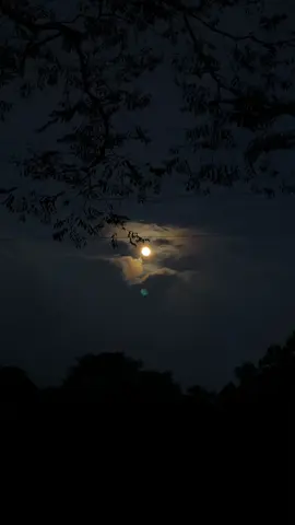 kalau suatu hari, entah kapan, kamu sadar bahwa aku benar benar sudah jadi masalalu aku hanya ingin menyampaikan satu hal, tolong jangan lupa untuk hidup dengan baik ya. bukan demi aku, tapi demi dirimu sendiri. kamu banyak hal di depan sana yang layak di perjuangkan lebih dari semua luka yang pernah kita lewati. aku tau kita tidak lagi berjalan bersama. aku tidak bisa lagi jadi tempat kamu pulang, atau orang pertama yang kamu cari saat harimu terasa berat. tapi meskipun begitu, aku tetap disini, bukan Dengan kehadiran yang nyata, tapi dalam setiap doaku. dari jauh aku masih menyebut namamu, di antara harapan-harapan kecil yang ku bisikan pada semesta semoga kebahagiaanmu tidak pernah habis, yaa... semogaa kamu menemukan tawa yang tidak hanya singgah sementara. menemukan pelukan yang benar-benar bisa menjadi rumah. karena setelah aku, kamu pantas mendapatkan lebih dari apa yang pernah kita jalani, lebih tenang lebih utuh, dan lebih dicintai dan kalau suatu hari kamu mengingatku, jangan hanya ingat luka atau perpisahan kita. ingat juga bagaimana kita dulu saling memperjuangkan. ingat bahwa aku pernah tulus, pernah berharap kita menjadi 'selamanyaa'. tapi hidup tidak selalu memberi ahkir yang kita inginkan. jadi, jalanin harimu dengan baik, ya. jangan lupa jaga diri, makan cukup, tidur cukup gabole maem pedes dan jangan terlalu keras pada dirimu sendiri. Karen meskipun kita sudah bukan siapa siapa, kamu tetap pernah menjadi segalanya. dan untuk itu, aku akan selalu mendoakanmu dari jauh. #akuntidakditemukan #fyp #katakata 