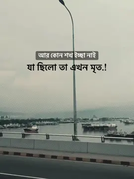 সব শখ ইচ্ছা মিটে গেছে.!😅💔 #vairal_video #foryou #cation_video #unfreezemyacount #tiktok_vairal_bangladesh 