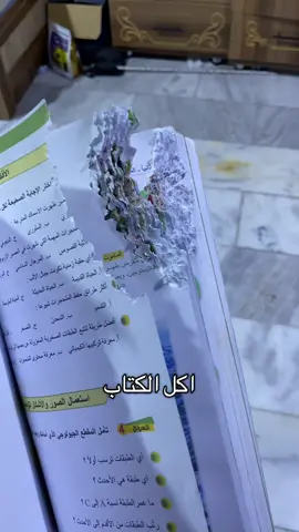 ادري ببغاء لو فاره #بغبغاء #ضحك😂 #فراهيدي #fyp #fyppppppppppppppppppppppp 