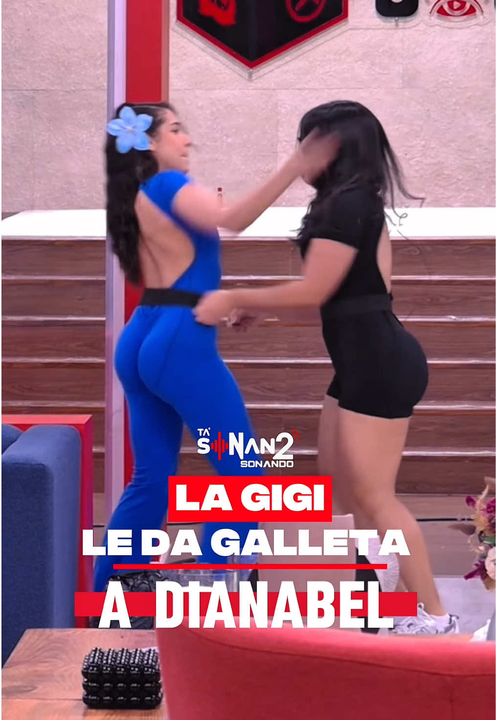 La Gigi le da una Galleta/Trompa/Bofetada a Dianabel en La Casa de Alofoke 2 😂🤣 #lacasadealofoke2 #lacasadealofoke #lagigi #teamgigi #teamsoledad 