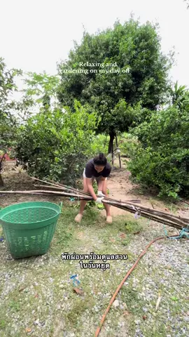 พักผ่อนพร้อมดูแลสวนในวันหยุด 🍃 #บ้านนอกของฉัน #countryside #garden #hometown #ผักสวนครัว 