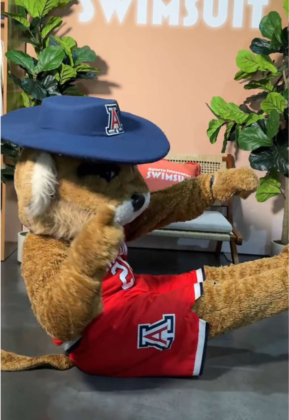 When the mascots understand the assignment >>> #Big12Conference #MediaDay @Big 12 Conference @University of Arizona 