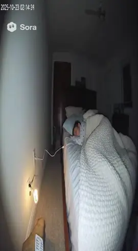 child is saved by dog 