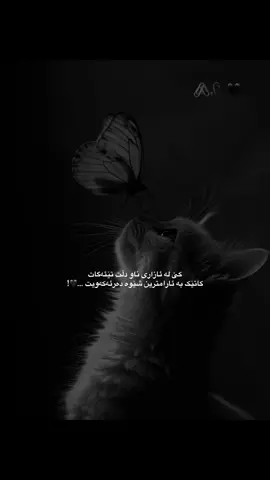 #لایکو_کۆمێنت_فۆڵۆلەبیر_ #ئەکتیڤبن🥀🖤ـہہـ٨ــہ #وتــــەکــــانــــم🖤🕊️ #fypシ゚viral🖤tiktok #foryou 