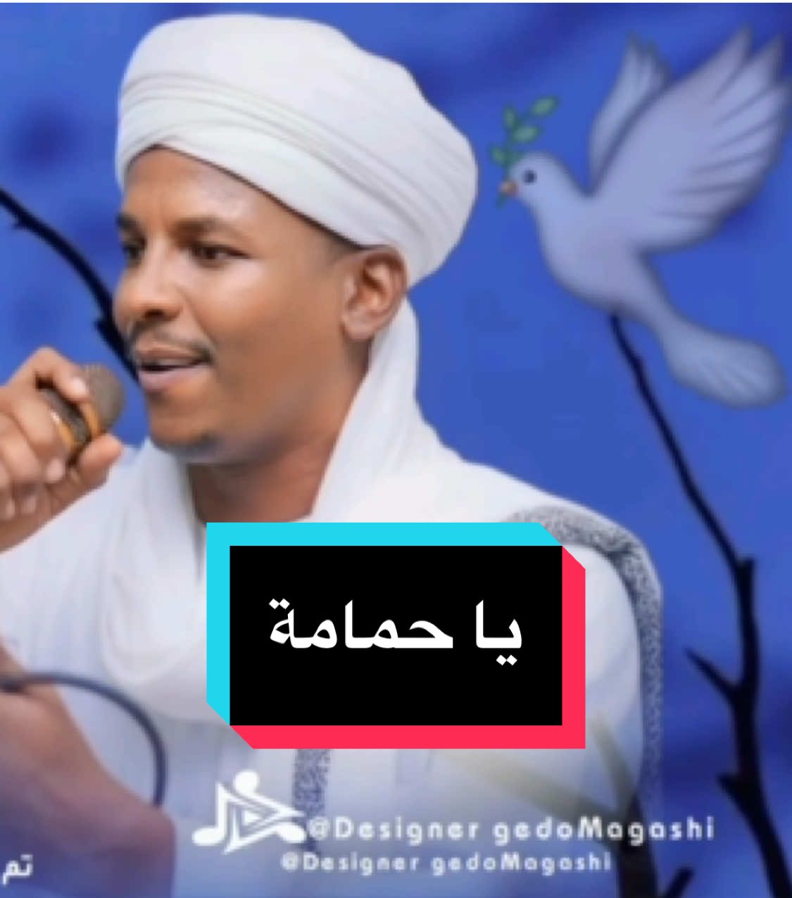 يا حمامة | جديد امجد الشاطرابي #جدو_مقاشي #حفلات_طنبور #مشاهير_تيك_توك #شوايقه_والبلد_رايقه #مقاشي_القرير_الولايه_الشماليه🌴 