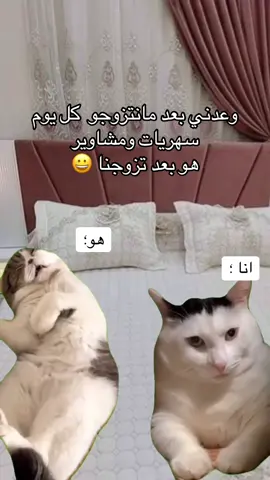 #MemeCut #Meme #MemeCut #ليبيا_طرابلس_مصر_تونس_المغرب_الخليج #فولو🙏🏻لايك❤️اكسبلور🙏🏻🌹💫 