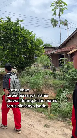 udh diksih tau sama yg berpengalaman cuy#fyp #story #rehan #janda 