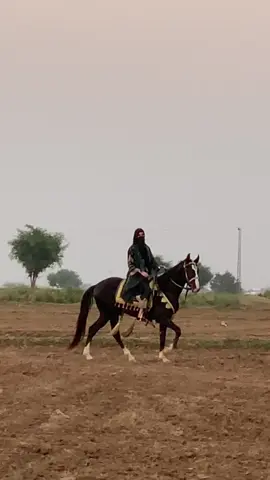 @Taskeen choudhury🐎❤️ @Momna_edits🕊️✨ 