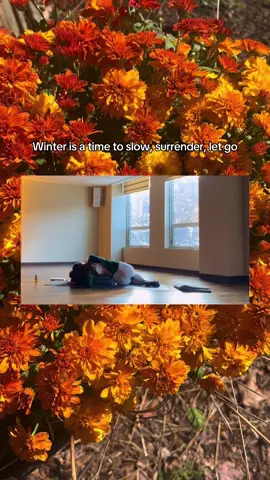 Managing seasonal dread : a winter series 🐢🫶🏼😴🤍 This episode, I encourage you to create a ritual of slowing down and being still. Practicing comfort in stillness allows the nervous system to reset and ground. As we transition from the vibrancy of summer to the cooling and still nights of winter, the art of slowing down will become your daily practice. Lmk if you want poses or videos to practice yin, meditation, or overall grounding. I’m happy to share everything I know :) happy fall and winter ahead! #seasonalessentials #bostontiktok #newengland #wellnesstips #ayurveda 