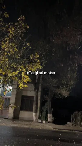 Targi ari mots #rec #armenia #dilanyyan 