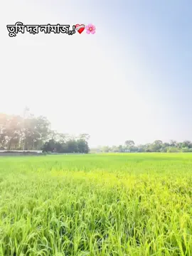 তুমি দর নামাজ,,!❤️‍🩹🌸##foryou  #আনিসুর_রহমান_আশরাফী💖💖 #ইসলামিক_ভিডিও_ভাইরাল_করে_দাও#viral ##