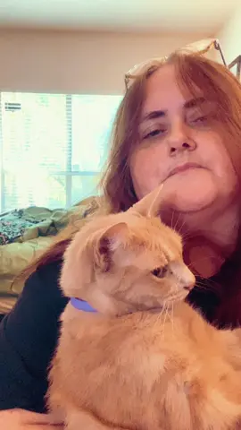 #over40 #genx #fyp #catsoftiktok #cats 