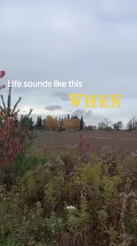 #canada_life🇨🇦 #ifestyleblogger #trending #grateful #beauty 