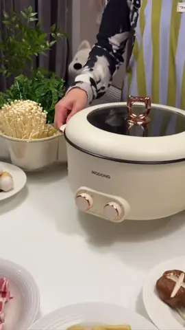 NỒI LẨU ĐIỆN 2 NGĂN CHỐNG DÍNH CAO CẤP DING TÍCH 5L CÔNG SUẤT CAO - CHỊU NHIỆT TỐT - NỒI 32cm HÀNG MỚI NHẤT #xuhuong #xuhuongtiktok 