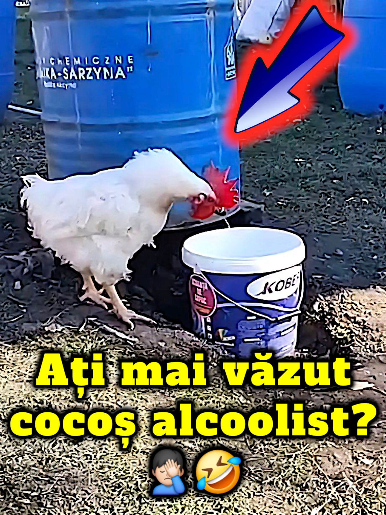 Cred că vrea făcut ciorbă! 🤷‍♂️🤭🤦‍♂️😂 #memes #fyp #foryou #viral #mr_hadrian 