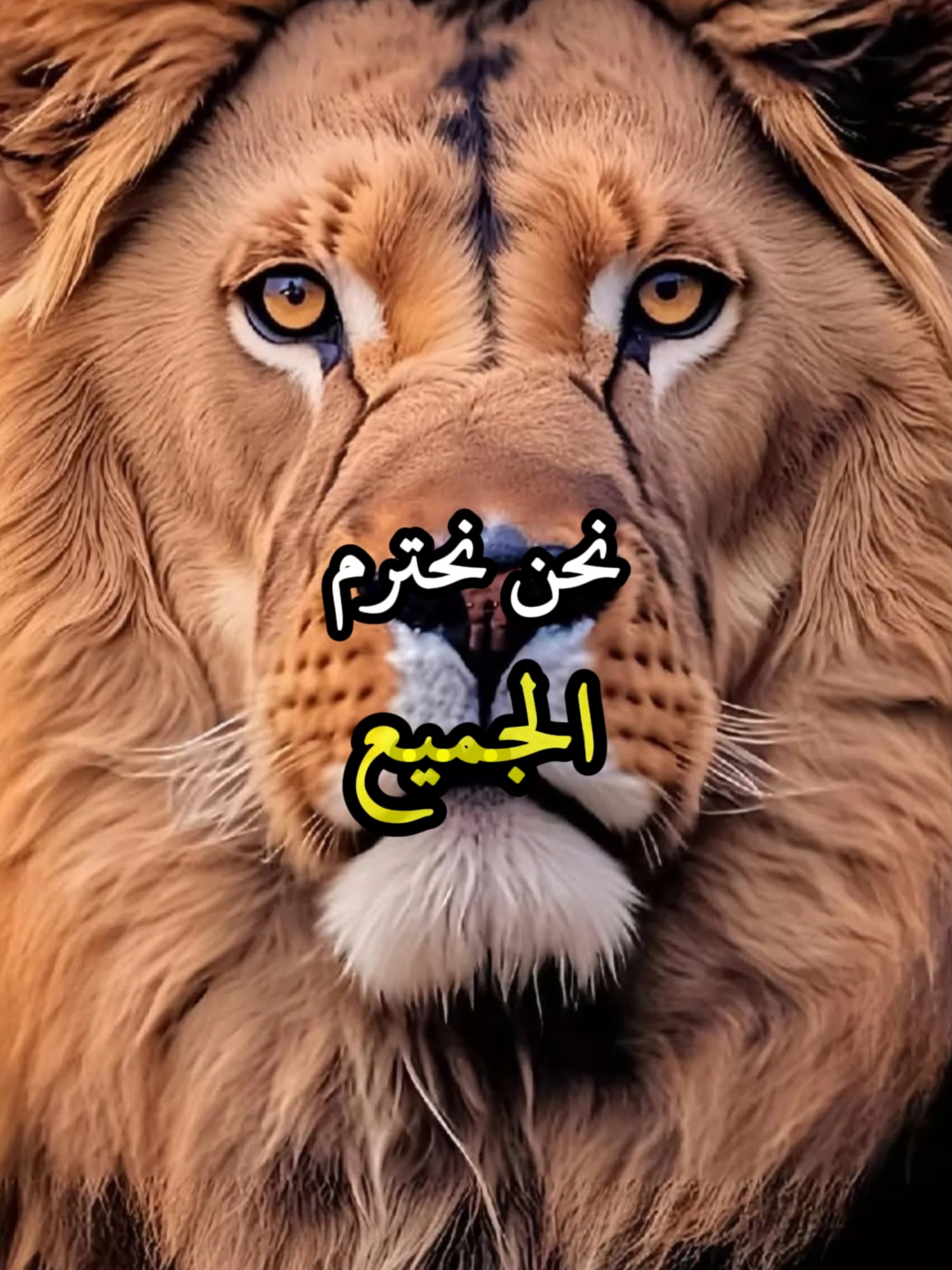 نحن نحترم الجميع، لكننا لا نخشـى أحدًا #اقتباسات #حكمة #خواطر #اكسبلور #نجاح #علم_النفس #تطوير_الذات #كلام_من_ذهب #اطمئن #اقتباسات_عبارات_خواطر #تحفيزات_إيجابية #اللهم_صلي_على_نبينا_محمدد #fyp #explore #viral_video #psychology #motivation