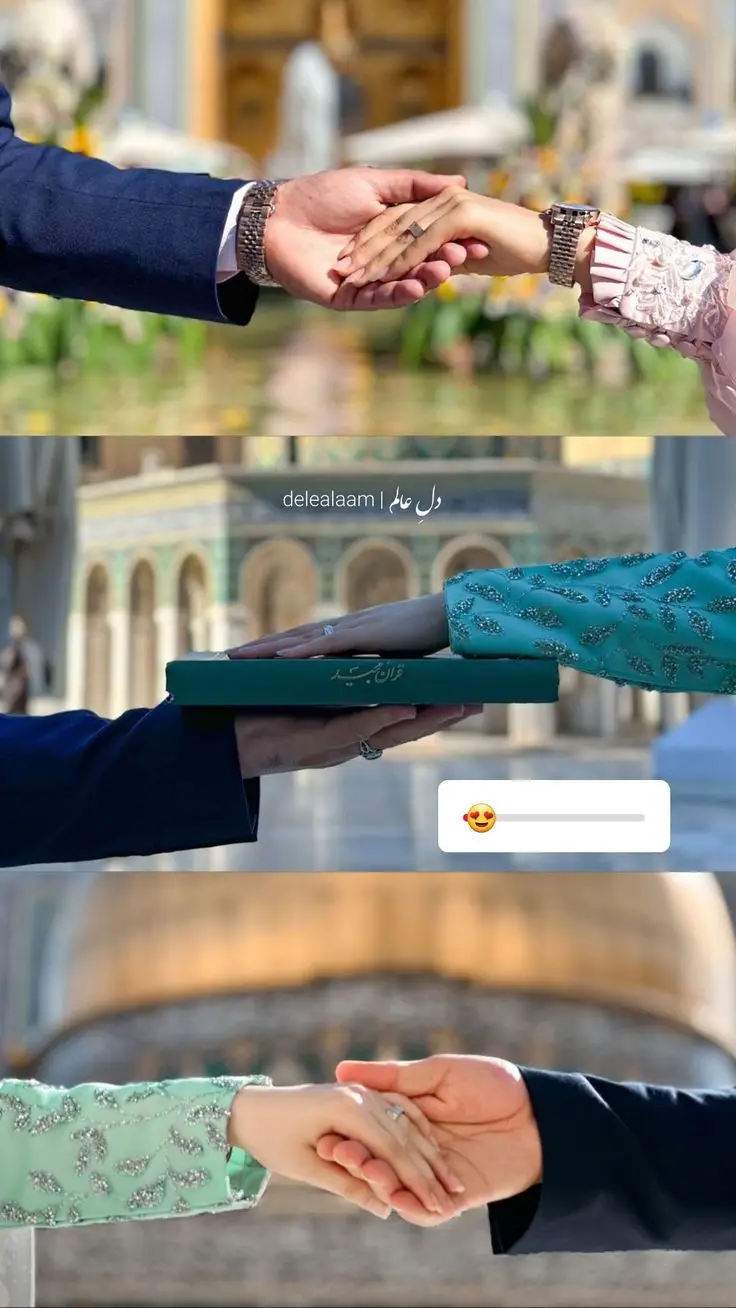 🤚🤚🤚🤚🤚🤚🤚