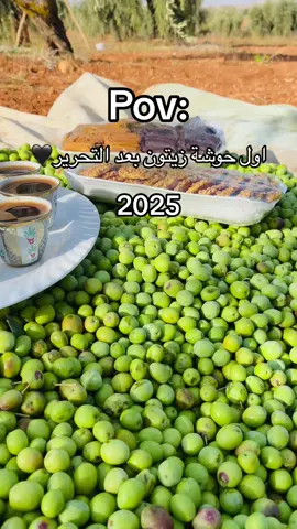 #اجواء #الزيتون 💚