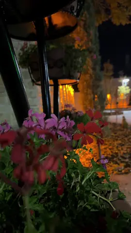 ومازلت اسأل نفسي لماذا الناس في البدايات أجمل ؟ #عبارتكم_فخمة🖤💉🥀 #تصويري_احترافي_الاجواء👌🏻🕊😴 #قونيا________________قونيا😌💙 #تصويري #اعادة_النشر🔃 