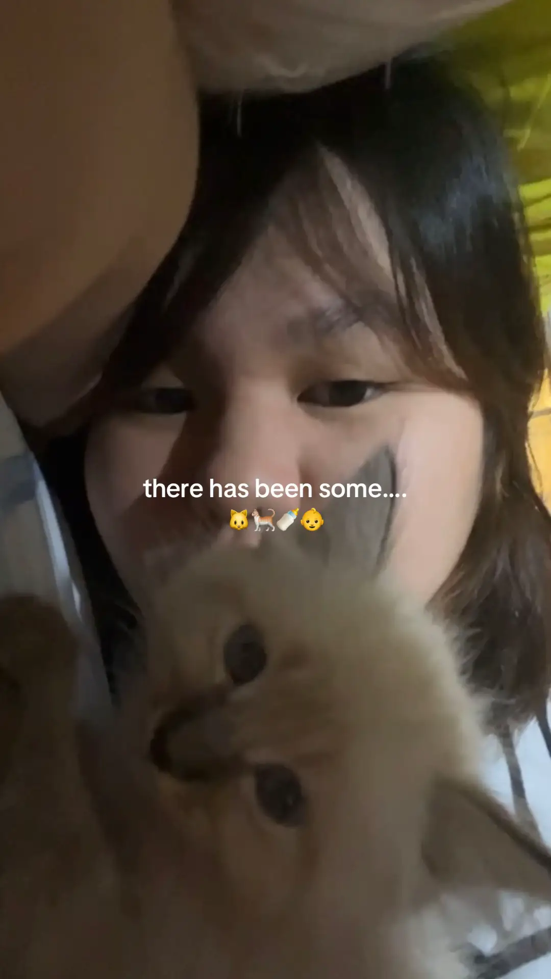 tanda na namin pareho + angst #cat #charlieputh #changes #grow #catsoftiktok 