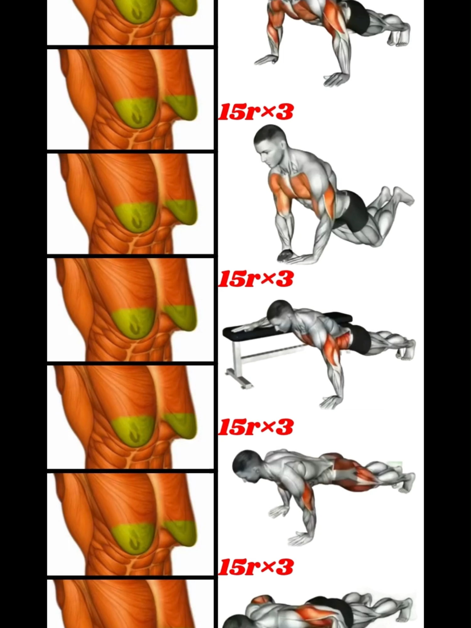 Best Exercises To Burn Chest Fat Fast #chest#chestworkout #chestexercise #GymTok #homeworkout #exercise