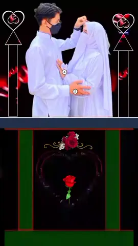 #creatorsearchinsights #ethiopian_tik_tok🇪🇹🇪🇹🇪🇹🇪🇹 #oromotiktok 