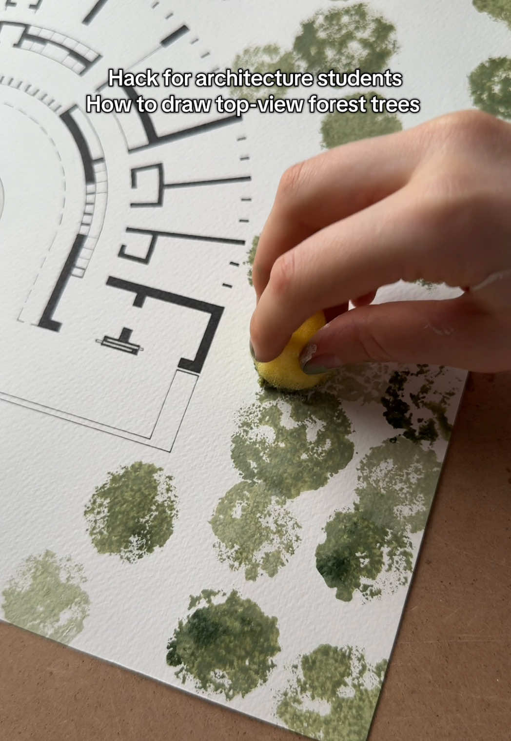 Top view forest trees drawing hack #architecture#architecturestudent#architecturedesign#architecturedrawing#on 