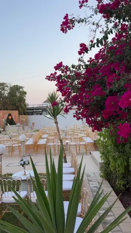 برشة أناقة و برشة فيانة 🌹 ديكورات في قمة الفخامة 🎊✨️🎀 مزال برشة جديد إنشاءالله 🎉🎈✨️ إنتظرونا مع العودة قريبا انشاء الله 🥳👌🏻 حاجات جديدة ولا أروع 😍 #تونس #ليبيا #الجزائر #المغرب🇲🇦 #مدنين🧡💛📍_جرجيس_بنڨردان_🧿جربة_بنخداش #تطاوين #مارث #الجنوب_التونسي #ڤبلي #توزر #دوز #الحامة #ڤابس #صفاقس #القيروان #المهدية #نابل #السواسي،المهدية،تونس❤️❤️🇹🇳🇹🇳🇹🇳 #تنظيم_حفلات #الساحل_الشمالي #الشعب_الصيني_ماله_حل😂😂 #foryoupage 