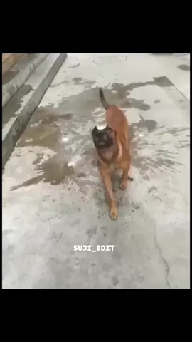 #sujicomedyedit_007 #trending #fyp #foryoupage #tamilcomedy 