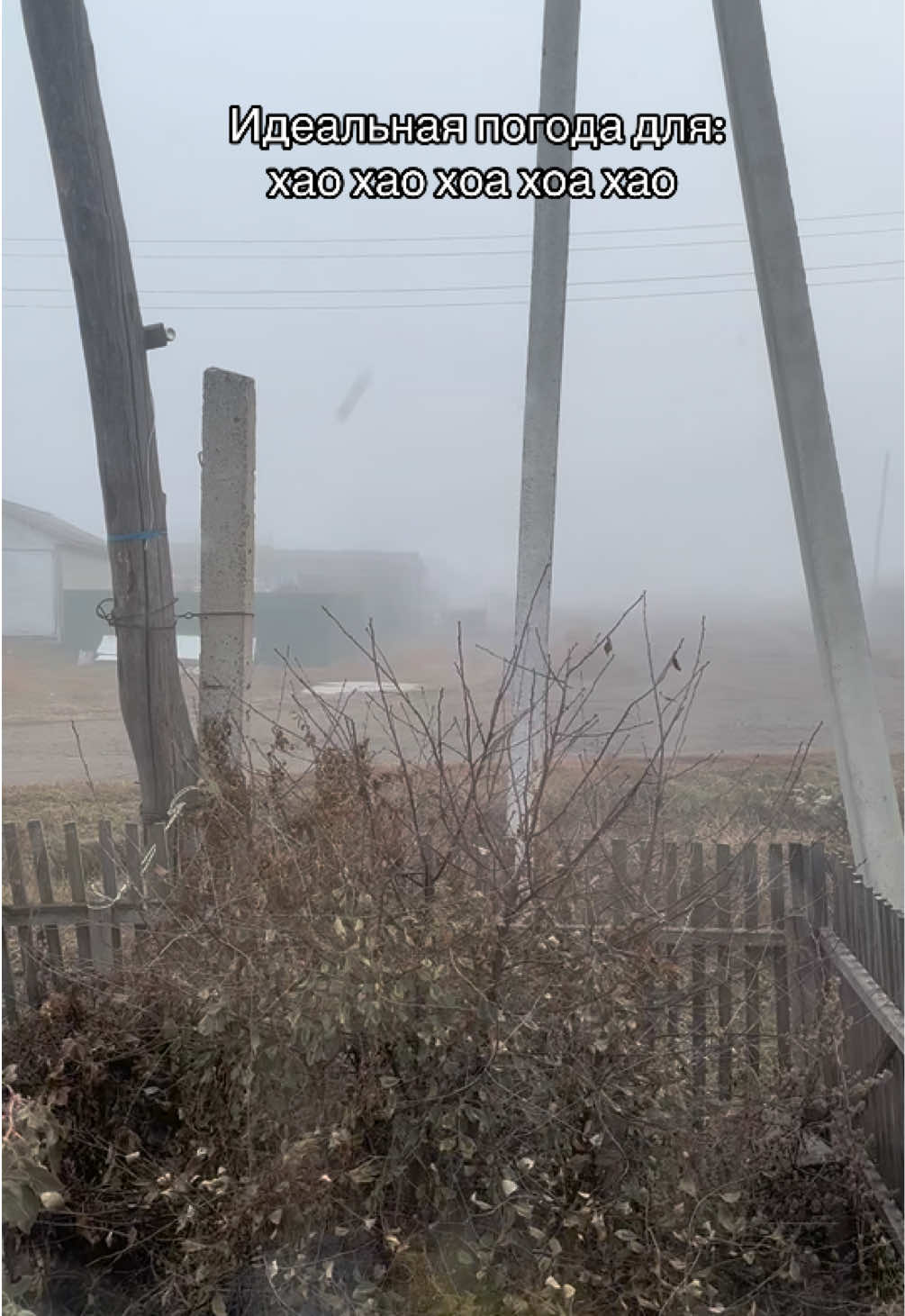 Идея не моя, но оно действительно так 😹🔥 #сумерки #туман #fypシ #рек 