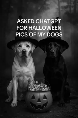 The proper use of #ai in my opinion. Watch for a prompt you can screenshot and edit to make it your own. Let me know if you want any others. #halloweendogs #chatgpt 