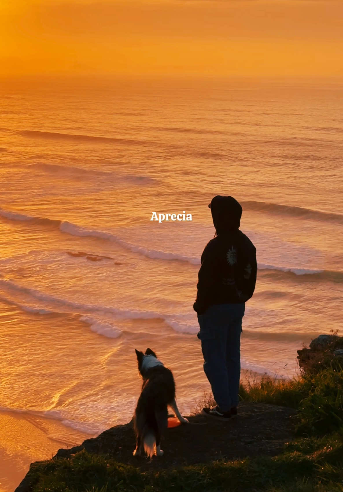 A veces olvidamos lo simple: estar aquí ya es un regalo. Aprecia todo lo que te rodea: la compañía, los atardeceres, las risas, la soledad… Aprecia incluso las cosas malas, porque son precisamente esas las que más te ayudan a crecer y a valorar lo bueno. Quizás ahora no lo veas con claridad, pero hace unos años soñabas con tener justo lo que tienes hoy. Porque la vida no siempre se trata de llegar, sino de aprender a amar el camino. #amorperruno #viajarconperro 