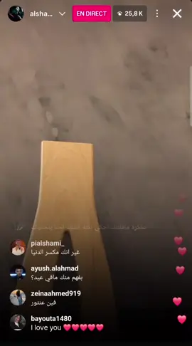 كيوت القط 🐈 ❤️😍 . . . #اغانية_الشامي_كيفو #حب_وحنان #اعادة_النشر🔃 #اكسبلور #لايف_الشامي_اليوم 