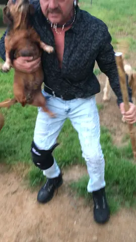 Repost of my most popular video from 2020 #joeexotic #tigerking #halloweencostume #tiktok #fyp 