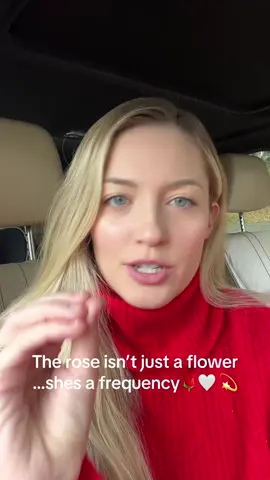 The Rose Consciousness is the remembrance of the Divine Feminine within all of us. Mary Magdalene carried this frequency and it’s rising again through every woman awakening to her softness and her power. 🌹🕊️🪽🤍💫 #wombwisdom #wombhealing #divinefeminine #divinefeminineenergy #conciousness 